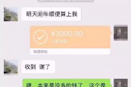 济宁为什么选择专业追讨公司来处理您的债务纠纷？